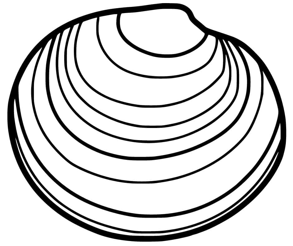 Very Simple Clam coloring page