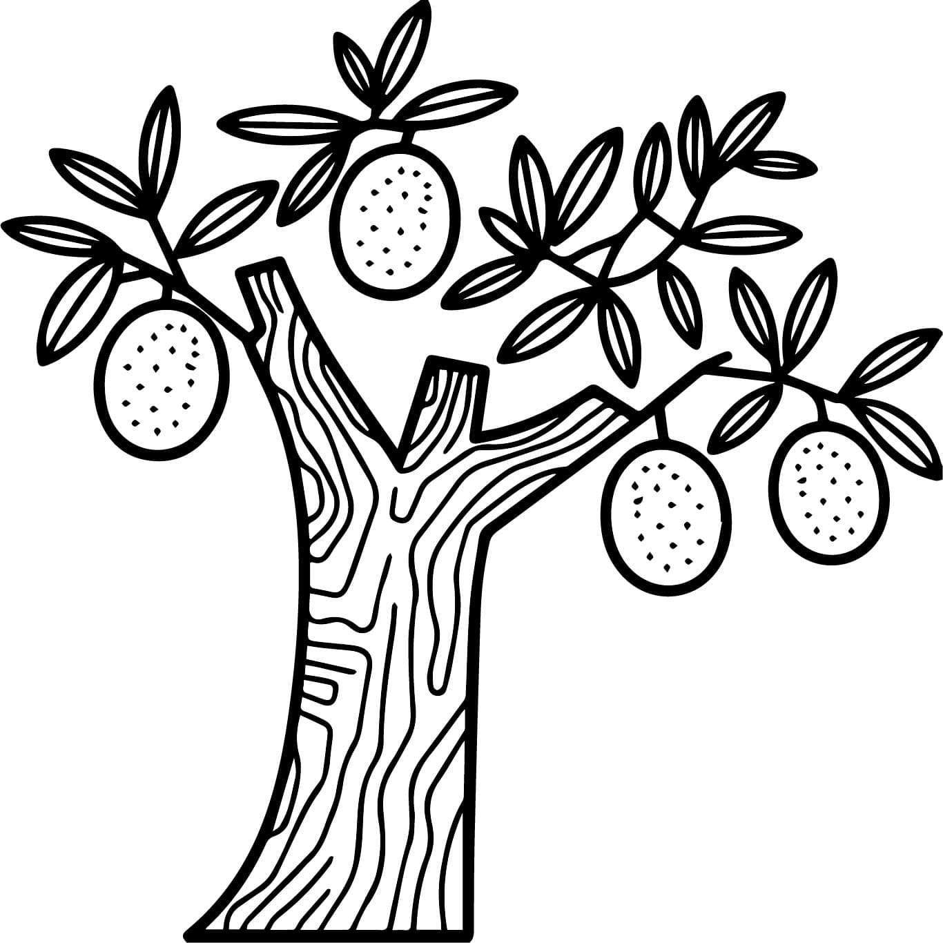 Basic Citrus Plant coloring page