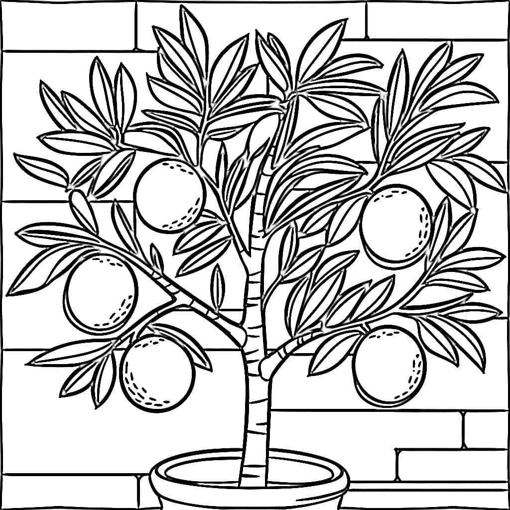 Citrus Plant For Free coloring page