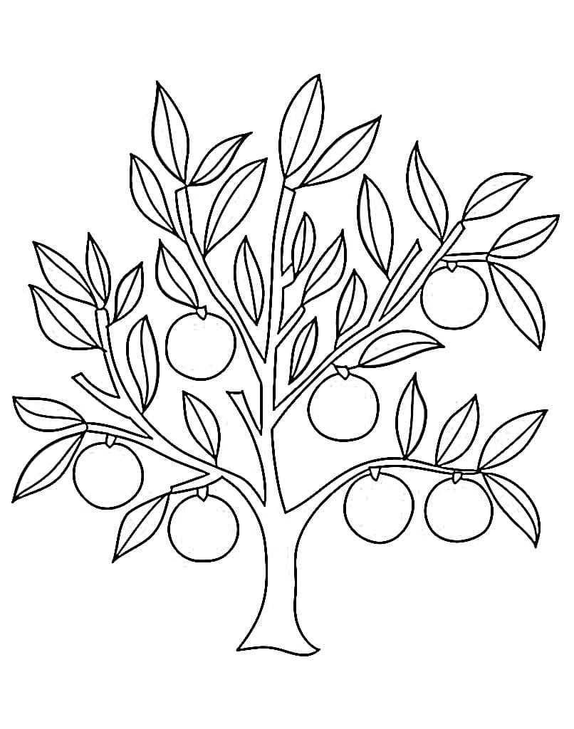 Citrus Plant For Kids coloring page