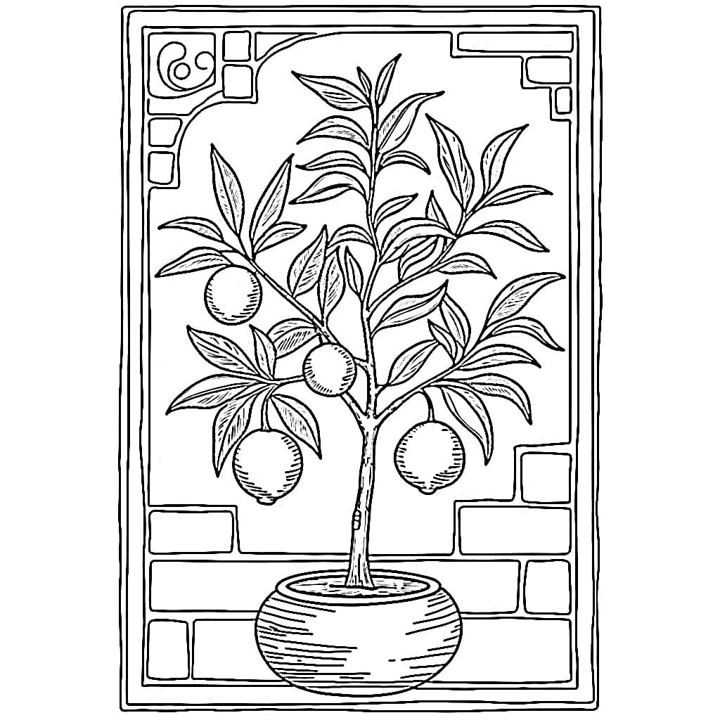 Free Drawing of Citrus Plant coloring page