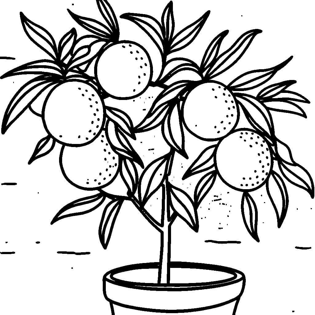 Print Citrus Plant