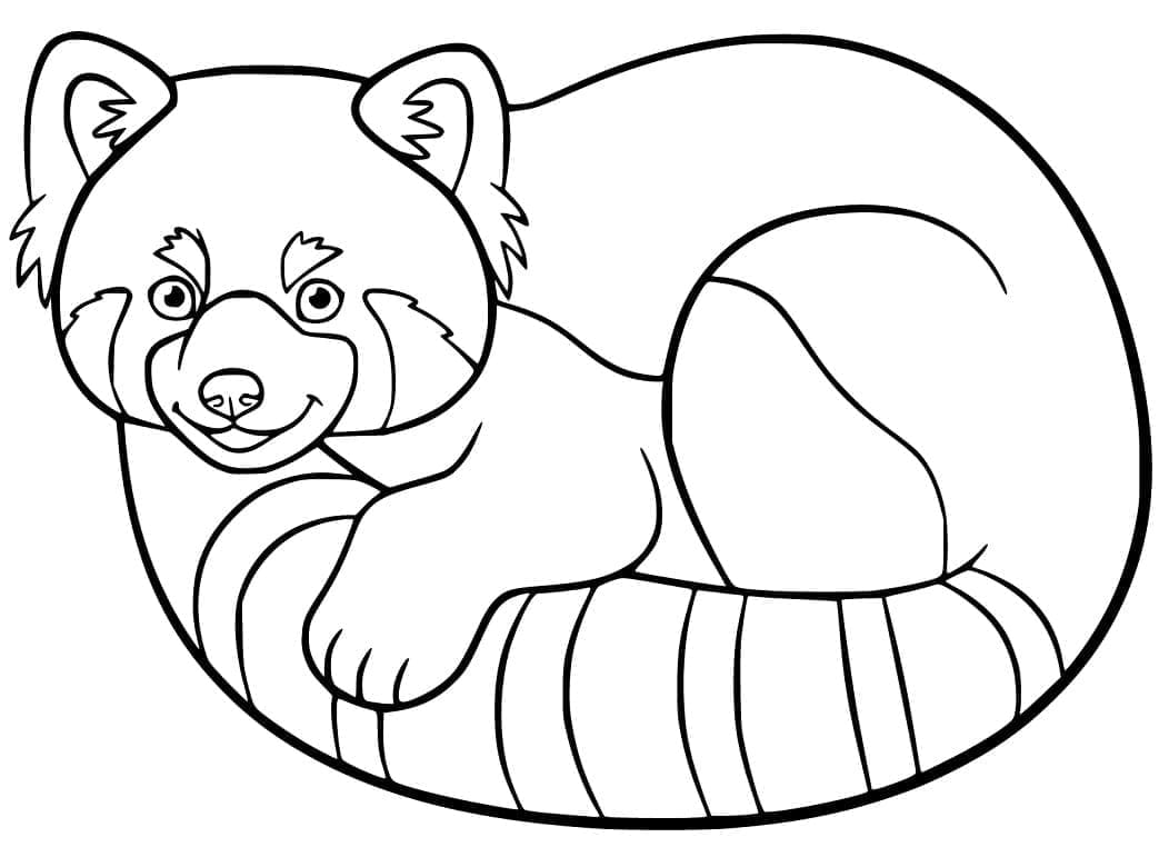 A Smiling Red Panda coloring page