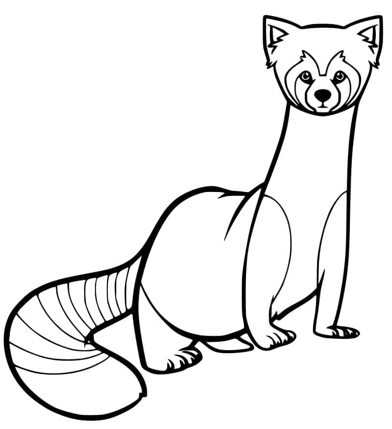 Curious Red Panda coloring page