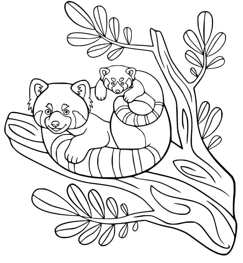 Mother with Baby Red Panda coloring page