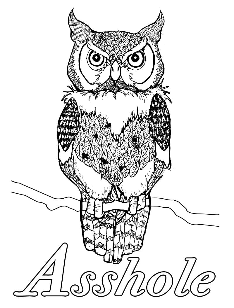 Owl and Swear Word coloring page