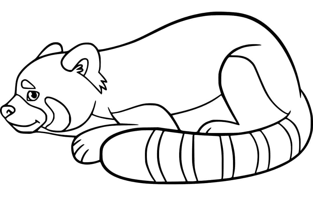 Red Panda Free coloring page