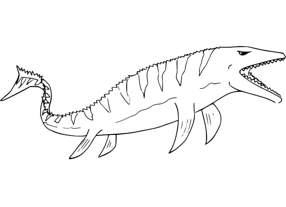 A Mosasaurus