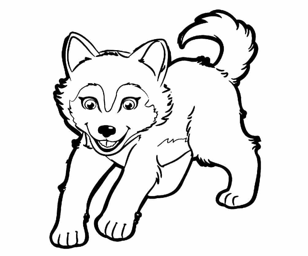 Adorable Husky Dog coloring page