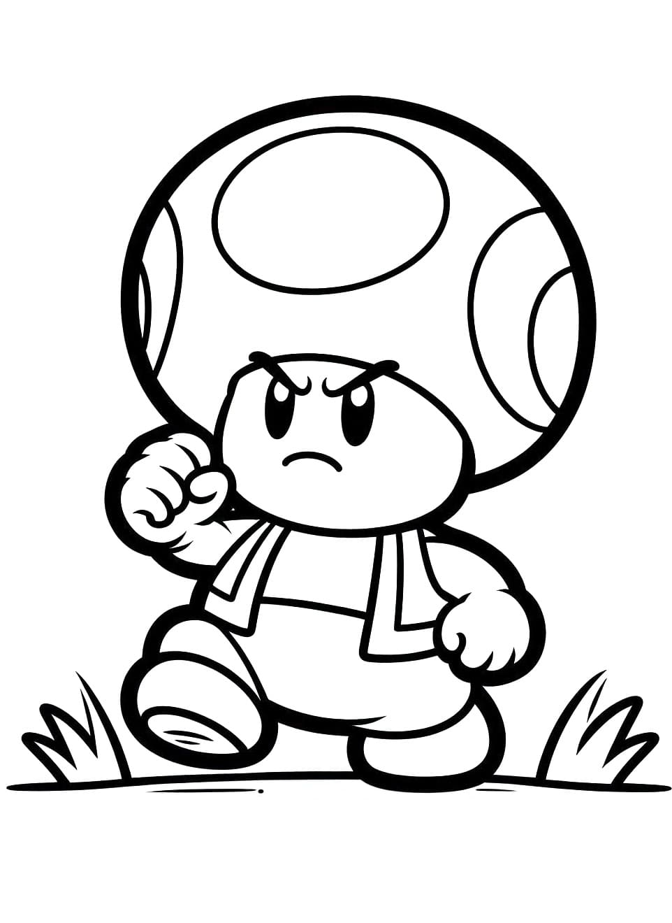 Amazing Toad Mario