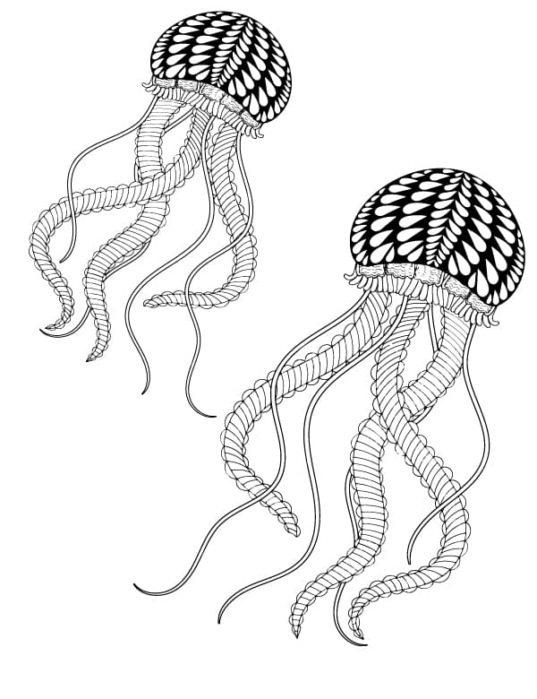 Boho Jellyfish