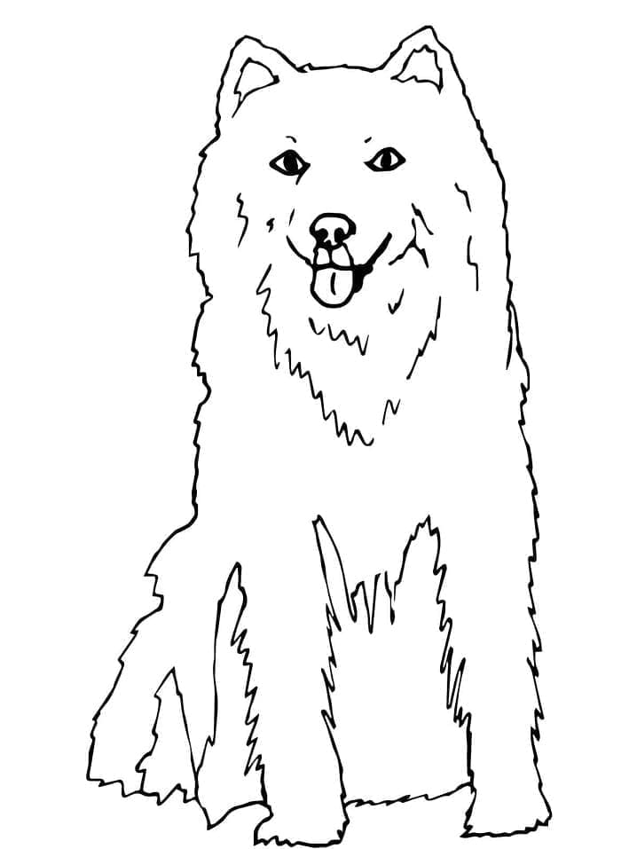 Drawing of Husky