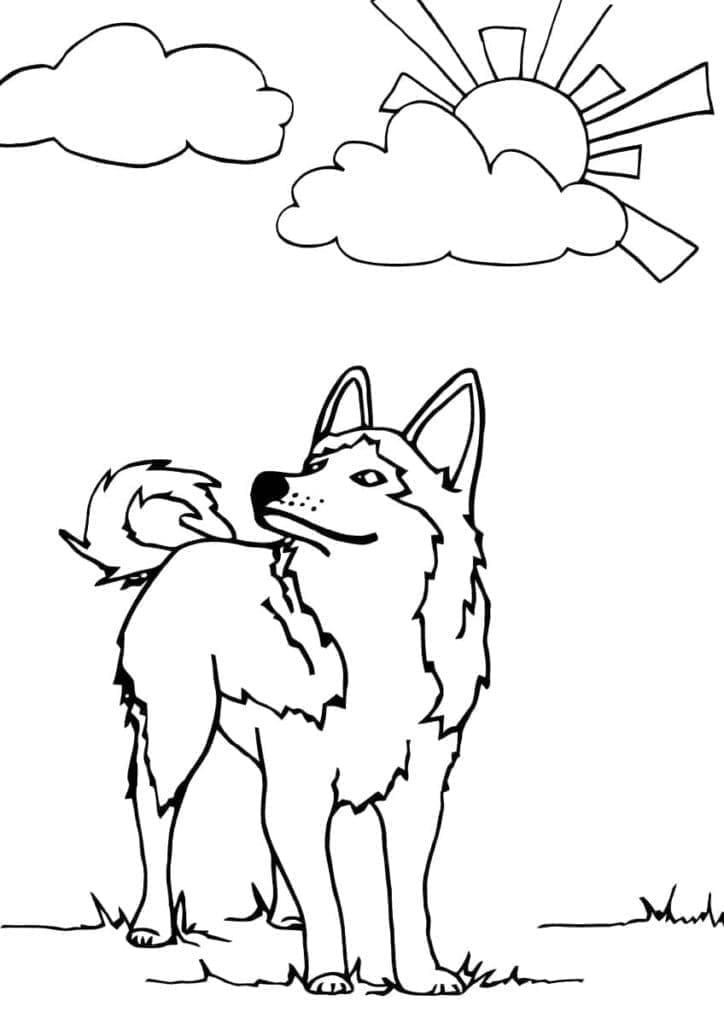 Husky and Sun coloring page