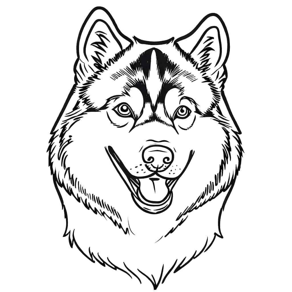 Husky Face coloring page