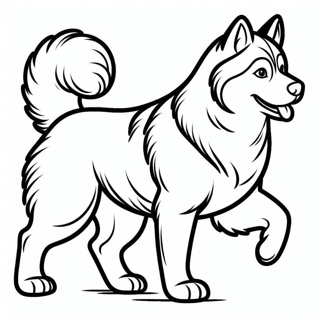 Husky is Walking coloring page