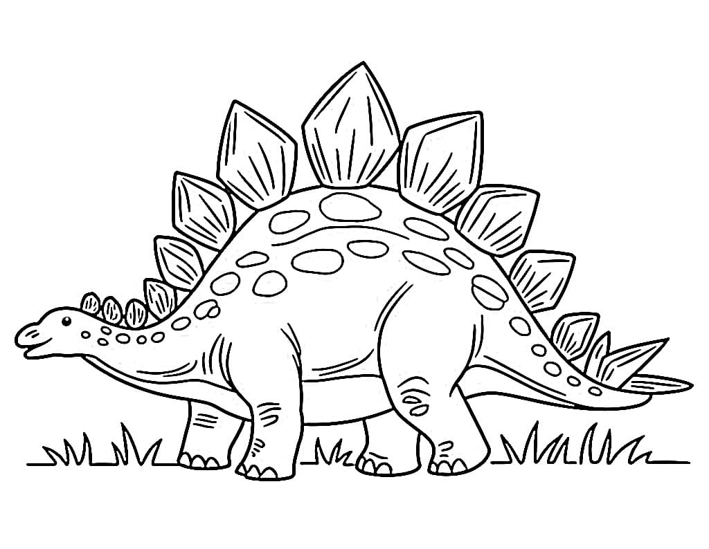 A Stegosaurus