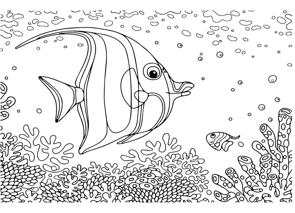 A Swimming Angelfish coloring page