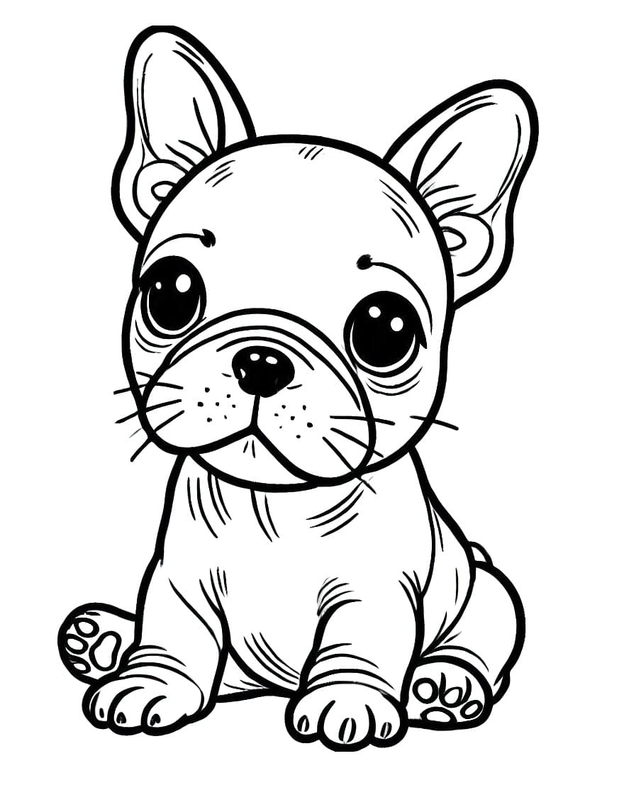 Adorable French Bulldog