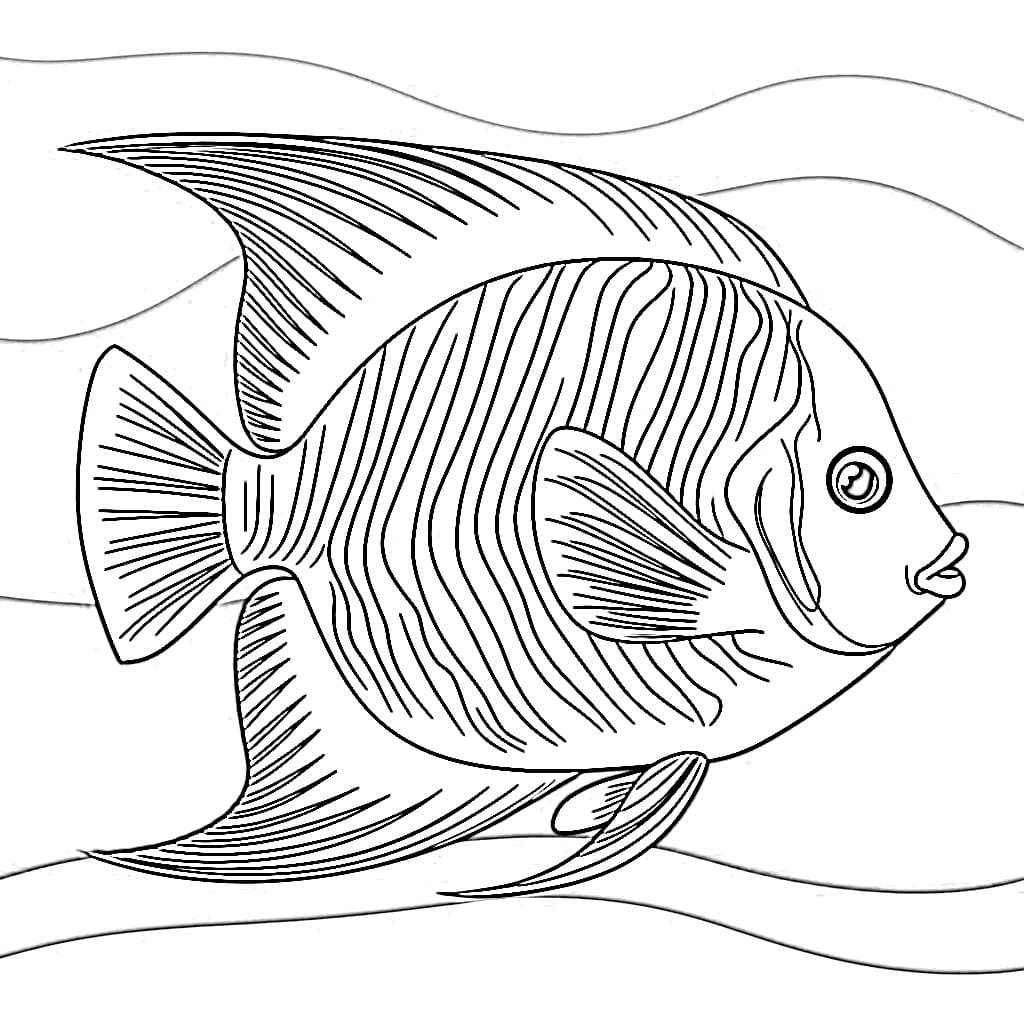 Angelfish Free Printable coloring page