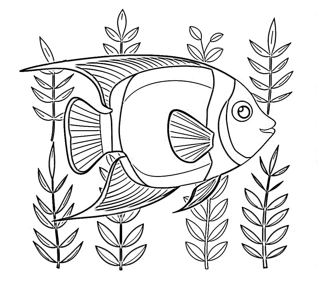 Angelfish Under the Sea coloring page