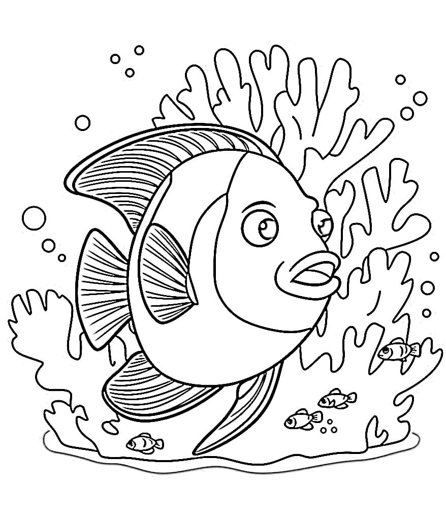 Animated Angelfish