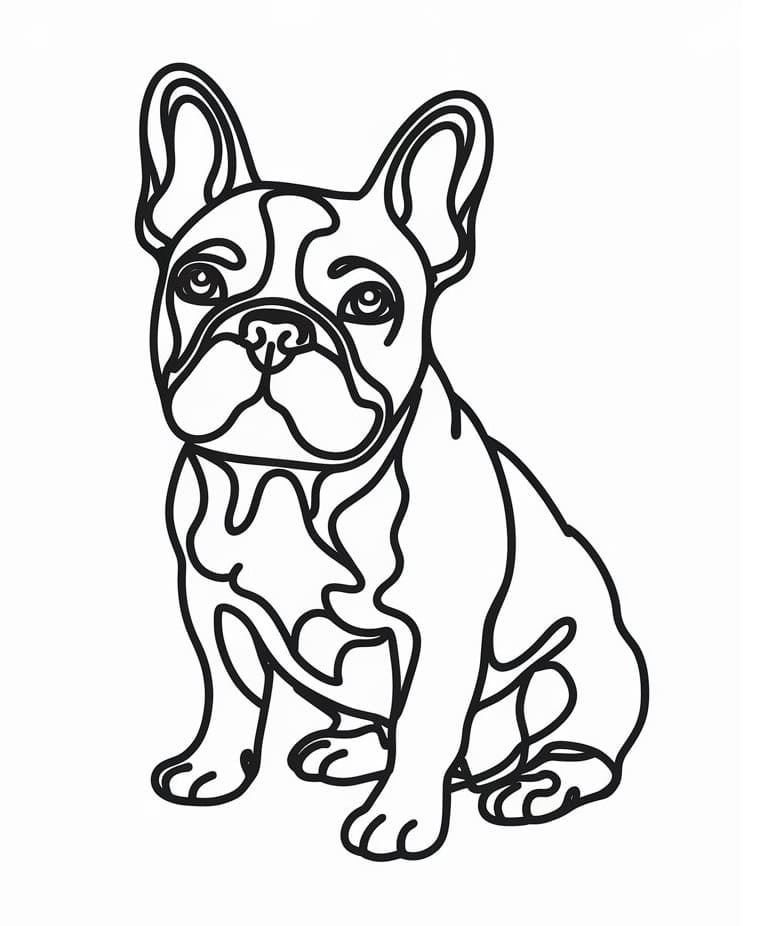 Basic French Bulldog