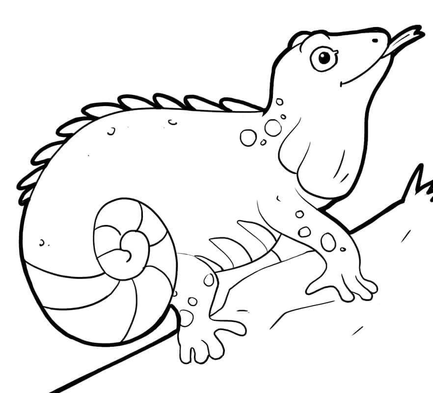 Cartoon Iguana