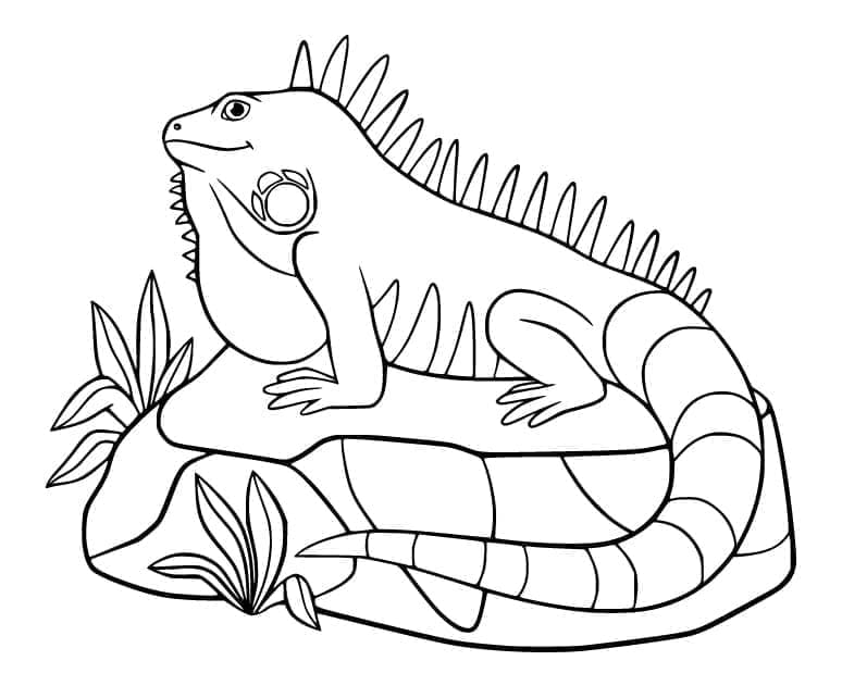 Cartoon Iguana Smiling