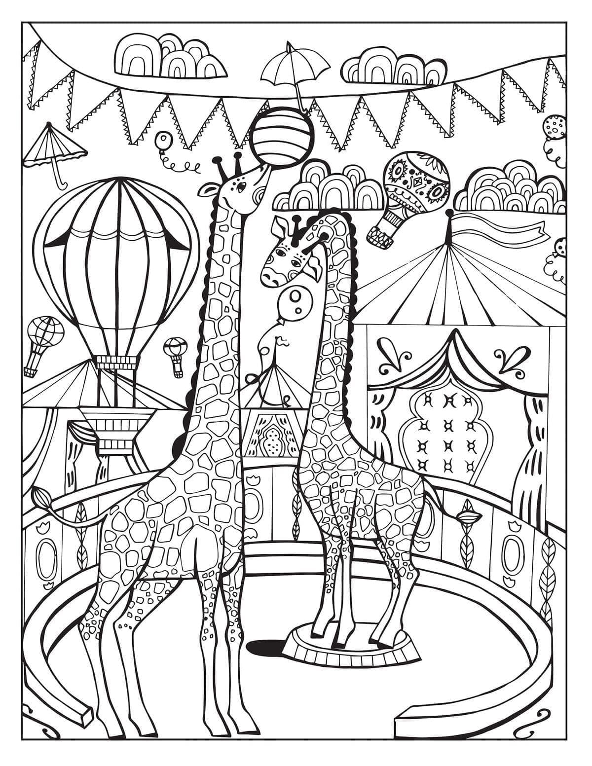 Circus Giraffes