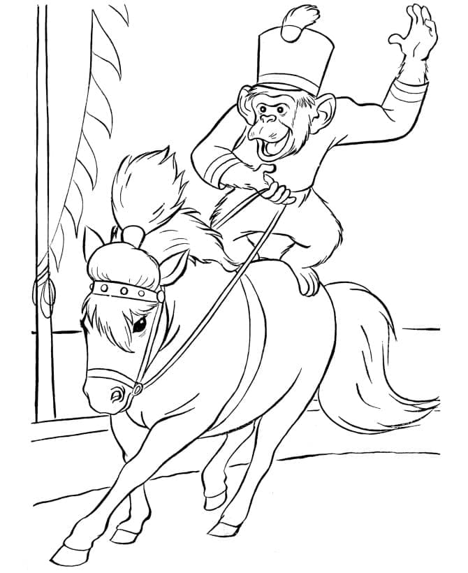 Circus Monkey Riding Horse coloring page