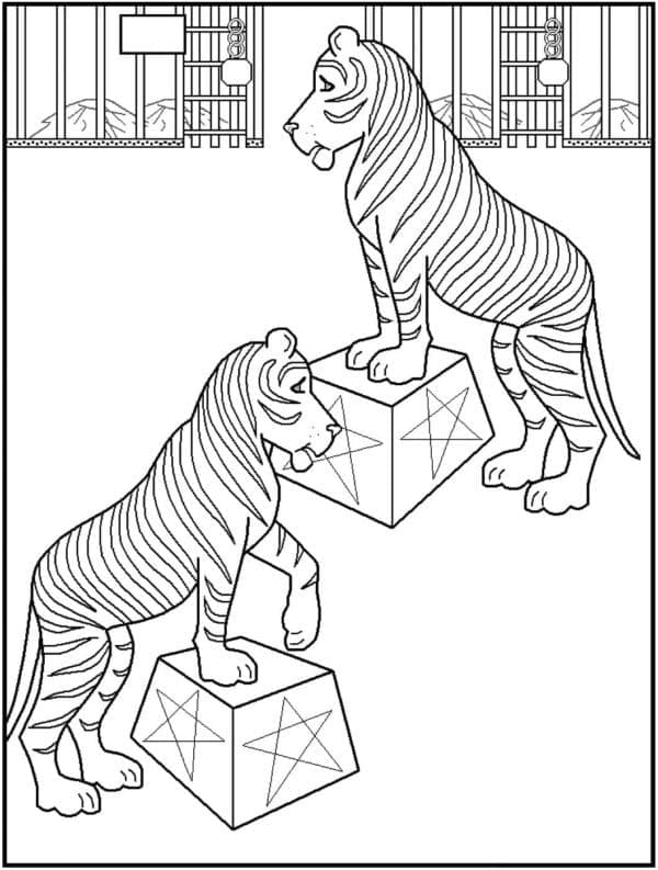 Circus Tigers coloring page