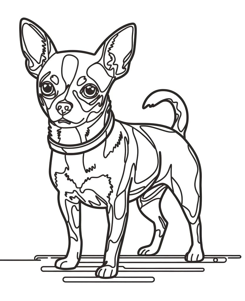 Drawing of Chihuahua