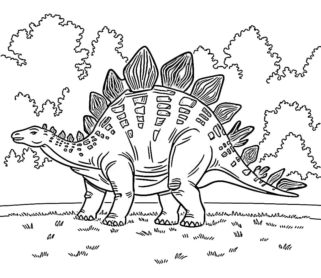 Drawing of Stegosaurus