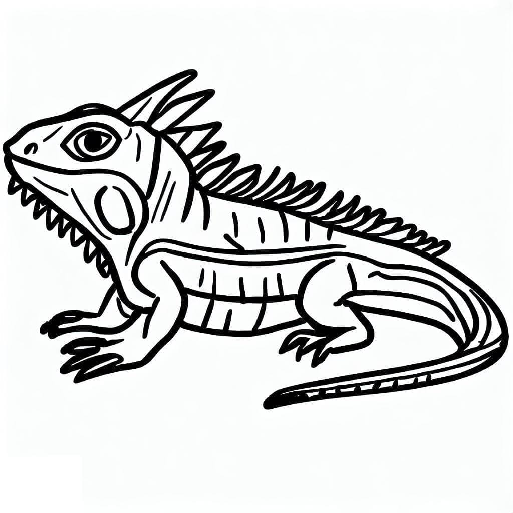 Free Drawing of Iguana