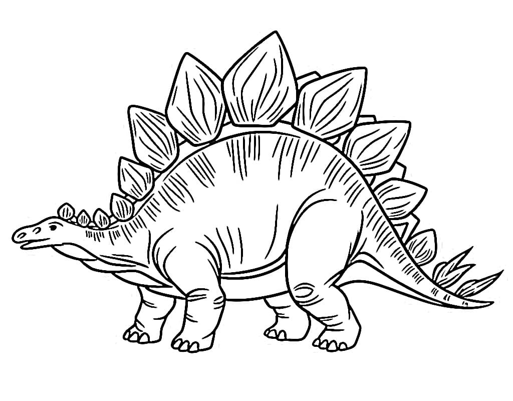 Free Drawing of Stegosaurus