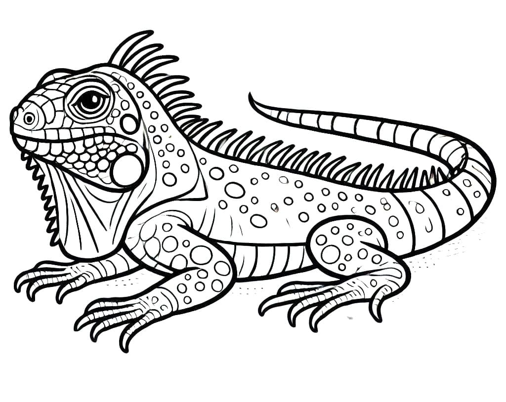 Free Iguana Printable