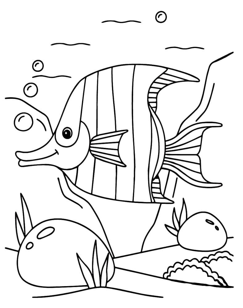 Happy Angelfish coloring page