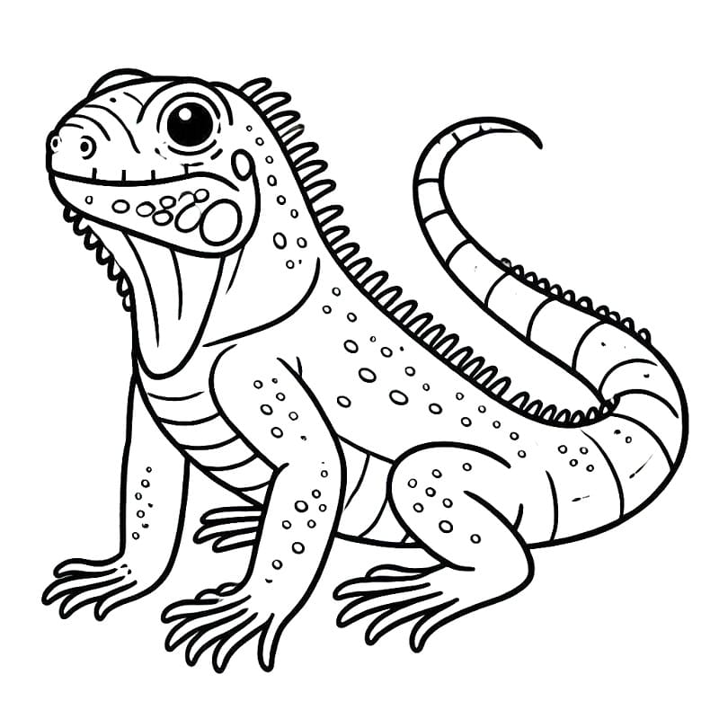 Iguana For Children