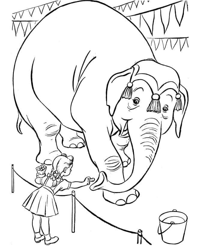 Kid and Circus Elephant