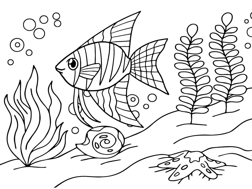 Lovely Angelfish coloring page