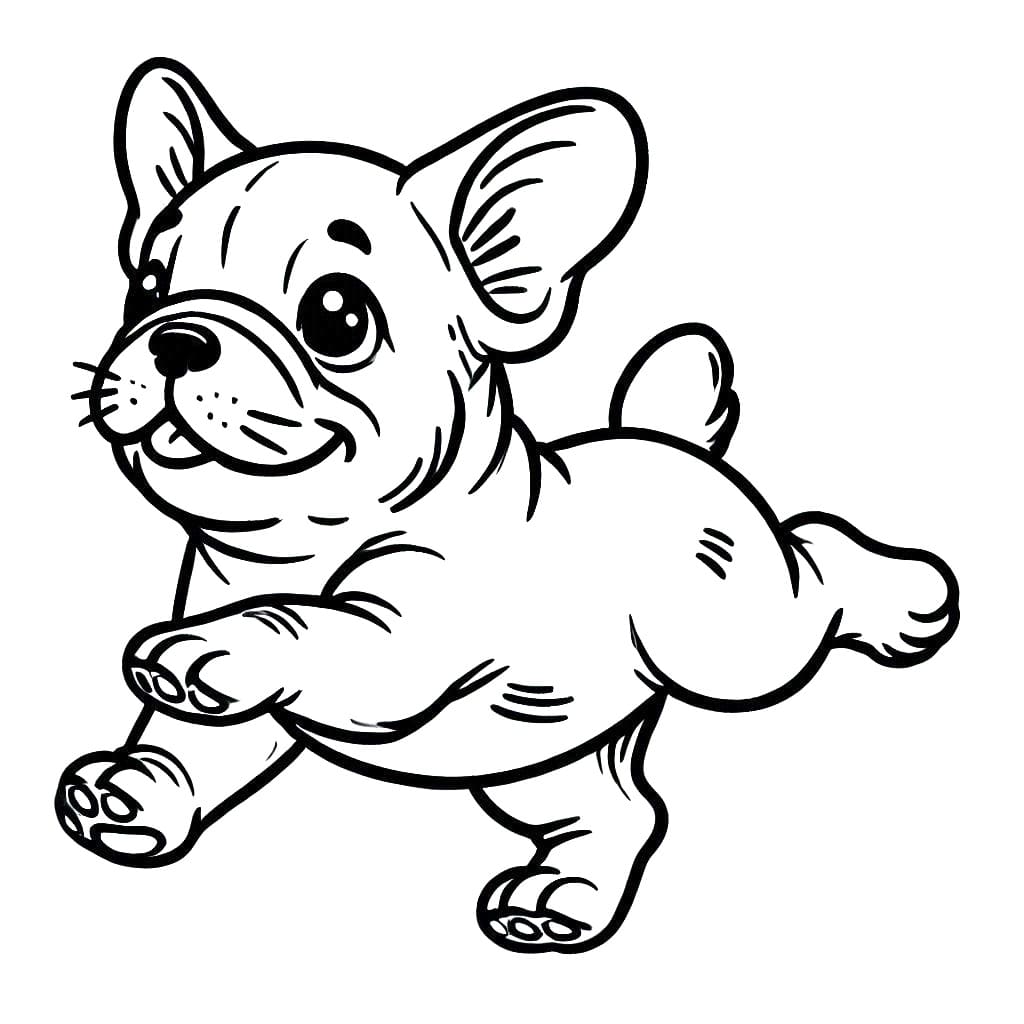 Nauhghty French Bulldog