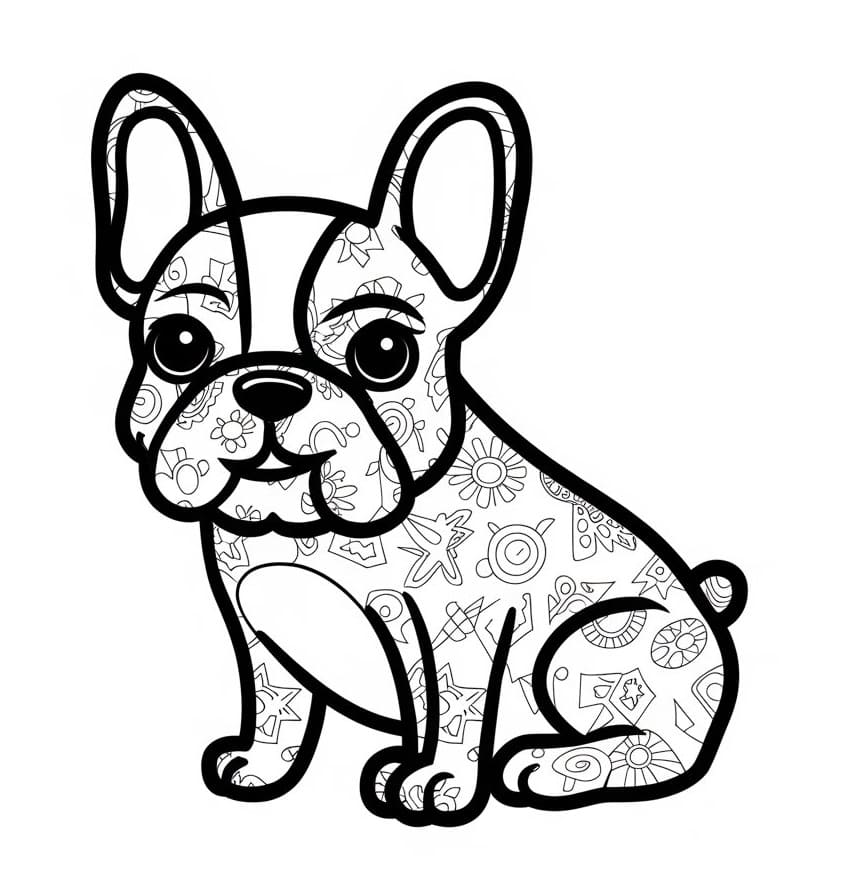 Nice French Bulldog