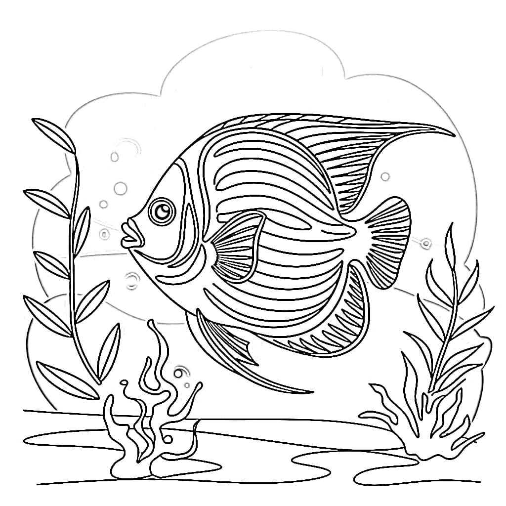 Print Angelfish