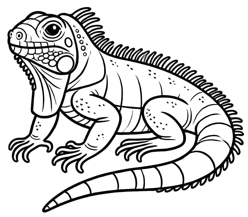 Printable Iguana