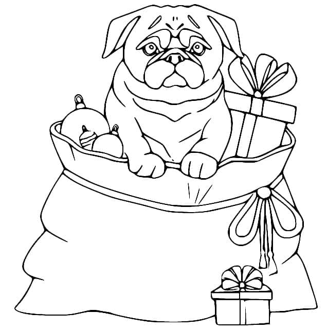 Pug and Gifts