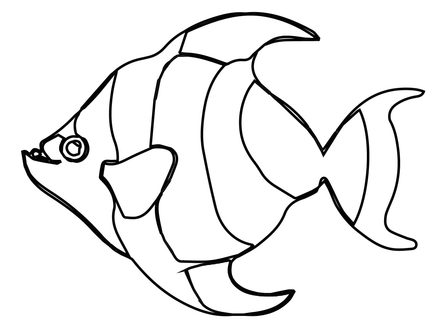 Simple Angelfish