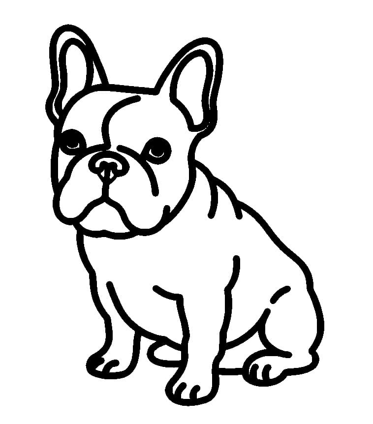 Simple French Bulldog