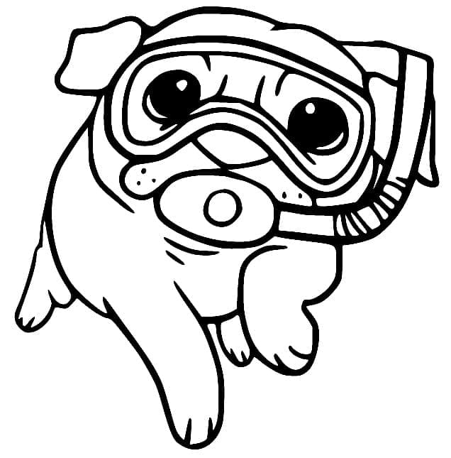 Very Funny Pug