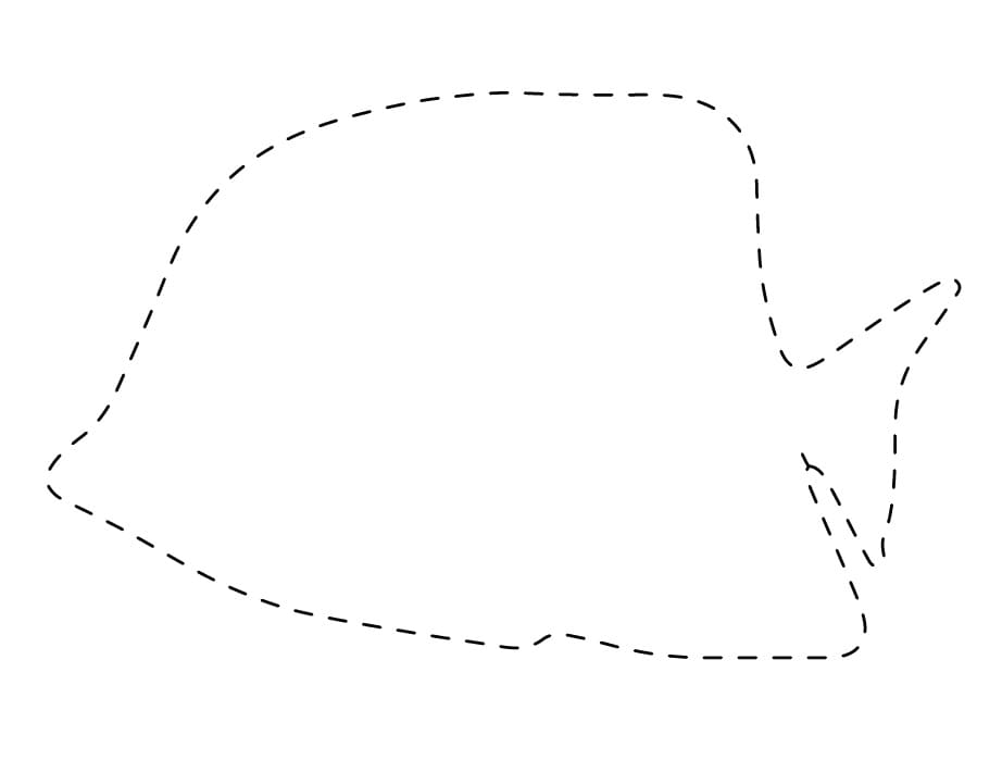 A Fish Tracing