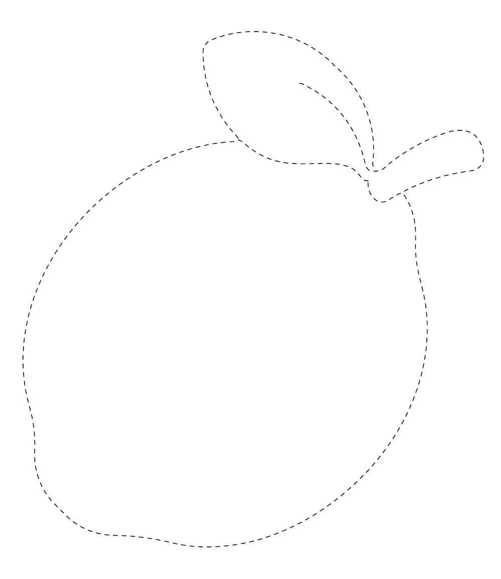 A Lemon Fruit Tracing